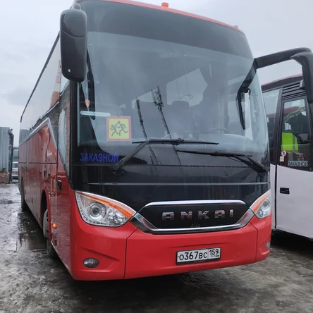 Аренда автобуса от 50 до 55 мест